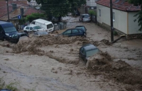 Варна с подписка срещу сечта в кв. ”Аспарухово”
