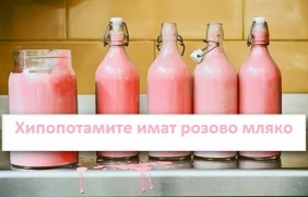 20 факта, които звучат като лъжа, но са истина