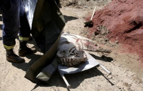 Броят на загиналите в резултат на наводненията в Тбилиси достигна 18 души