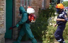 Проверяват ветеринаря в селото с антракс