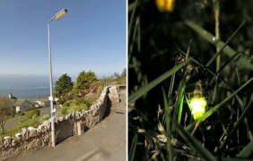 В Уелс гасят уличното осветление, за да подобрят сексуалния живот на светещите червеи