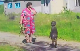 20 доказателства за това, че да имаш дете е нещо много забавно
