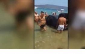 Паркиране по женски: от улицата и директно в морето [видео]
