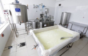 Компенсирали млекопроизводителите с 13,3 млн. лв. заради кризата на пазара в ЕС