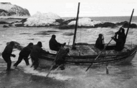 На ръба на оцеляването: 7 истински истории