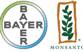 Акциите на Bayer AG се сринаха