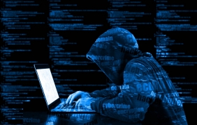 Дигитален погром